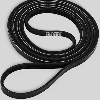 Banda de Transmisión del Tambor Samsung 6602-001655 | Dryer Drum Belt